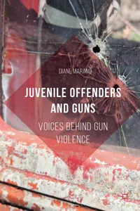 Juvenile Offenders and Guns_cover