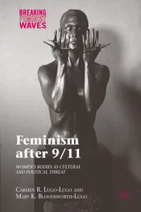 Feminism after 9/11_cover