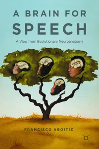 A Brain for Speech_cover