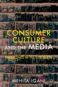 Consumer Culture and the Media_cover