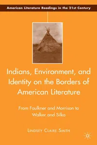 Indians, Environment, and Identity on the Borders of American Literature_cover