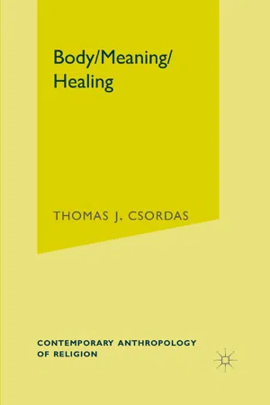 Body, Meaning, Healing