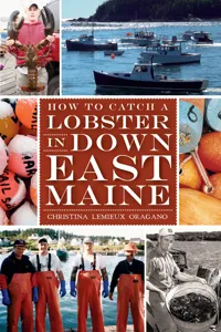 How to Catch a Lobster in Downeast Maine_cover