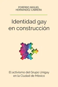 Identidad gay en construcción_cover