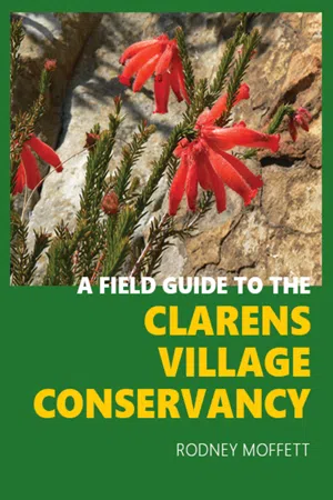 Field Guide to the Clarens Village Conservancy