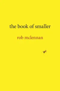the book of smaller_cover