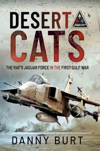 Desert Cats_cover