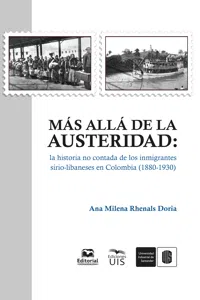 Más allá de la austeridad_cover