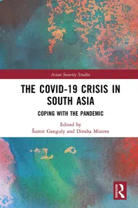 The Covid-19 Crisis in South Asia_cover