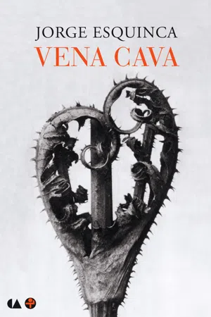 Vena cava