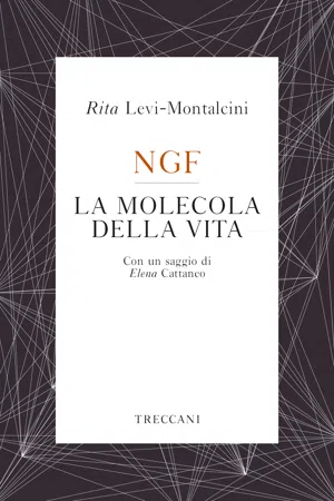 NGF La molecola della vita