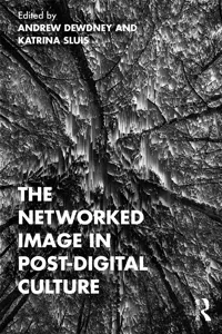The Networked Image in Post-Digital Culture_cover