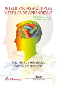 Inteligencias múltiples y estilos de aprendizaje_cover