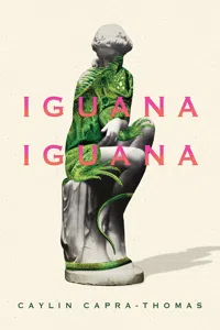 Iguana Iguana_cover