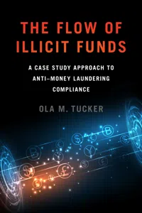 The Flow of Illicit Funds_cover