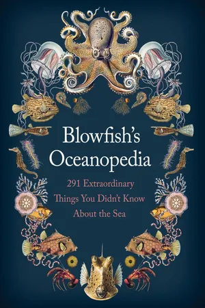 Blowfish's Oceanopedia