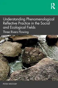 Understanding Phenomenological Reflective Practice in the Social and Ecological Fields_cover