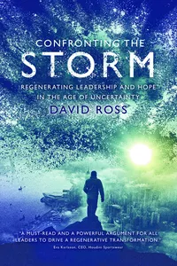 Confronting the Storm_cover