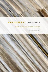 Spillway_cover