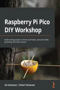 Raspberry Pi Pico DIY Workshop_cover