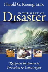 In the Wake of Disaster_cover