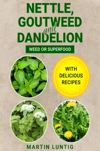 Nettle, Goutweed and Dandelion_cover