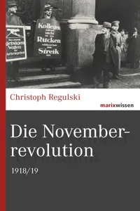 Die Novemberrevolution_cover