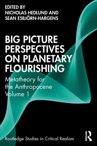 Big Picture Perspectives on Planetary Flourishing_cover