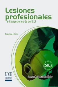 Lesiones profesionales e inspecciones de control_cover