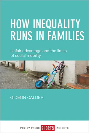 How Inequality Runs in Families