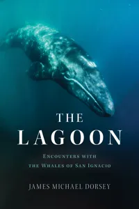 The Lagoon_cover
