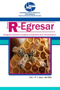 Revista R-Egresar_cover