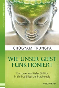 Wie unser Geist funktioniert_cover