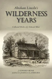 Abraham Lincoln's Wilderness Years_cover