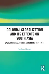 Colonial Globalization and its Effects on South Asia_cover