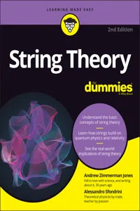 String Theory For Dummies_cover