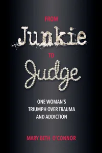 From Junkie to Judge_cover