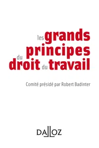 Les principes essentiels du droit du travail_cover