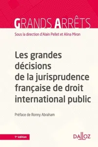 grandes décisions de la jurisprudence française de DIPublic_cover