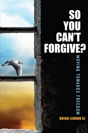 So You Can't Forgive