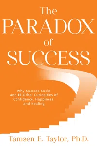 The Paradox of Success_cover