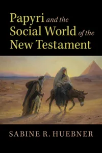 Papyri and the Social World of the New Testament_cover