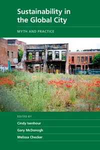 Sustainability in the Global City_cover