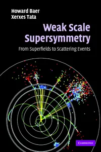 Weak Scale Supersymmetry_cover
