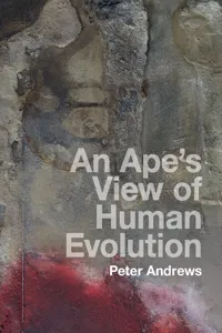 An Ape's View of Human Evolution_cover