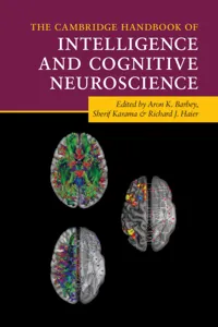 The Cambridge Handbook of Intelligence and Cognitive Neuroscience_cover