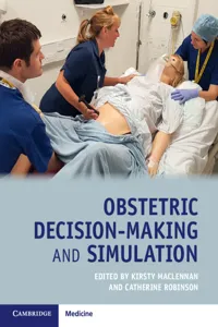 Obstetric Decision-Making and Simulation_cover