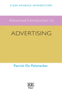 Advanced Introduction to Advertising_cover
