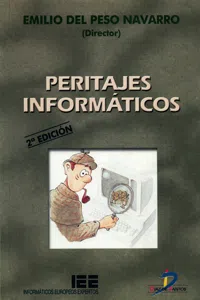 Peritajes informáticos_cover