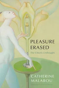 Pleasure Erased_cover